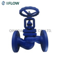 Dn15-Dn200 Pn16 Cast Iron Globe Valve with Flanges